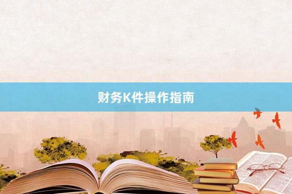 财务K件操作指南